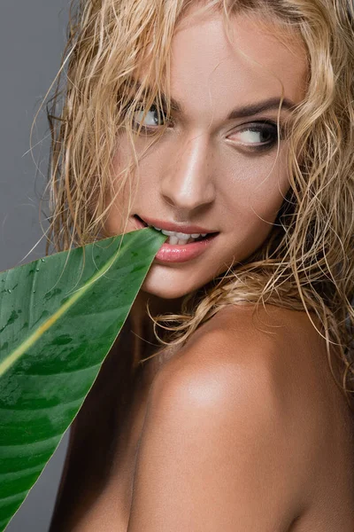 Sexy donna bionda con capelli bagnati e foglia verde isolata sul grigio — Foto stock