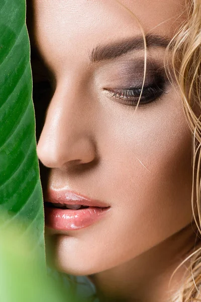 Close-up de mulher loira com cabelo molhado e folha verde — Fotografia de Stock