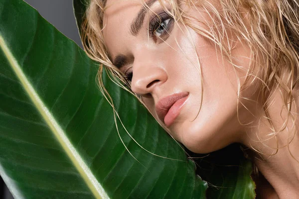 Blonde woman with wet hair and green leaf isolated on grey — Stock Photo