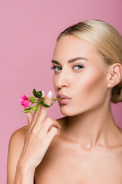 Hermosa mujer rubia con la piel perfecta y flor de rosa aislado en rosa - foto de stock