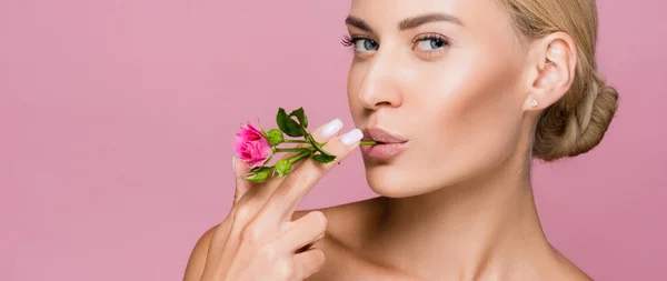 Schöne blonde Frau mit perfekter Haut und Rosenblüte im Mund isoliert auf rosa, Banner — Stockfoto