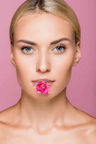 Hermosa mujer rubia con la piel perfecta y flor de rosa en la boca aislada en rosa - foto de stock
