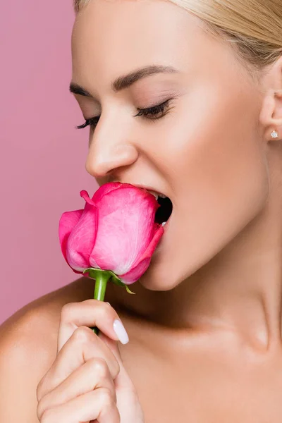 Schöne blonde Frau beißt Rose Blume isoliert auf rosa — Stockfoto