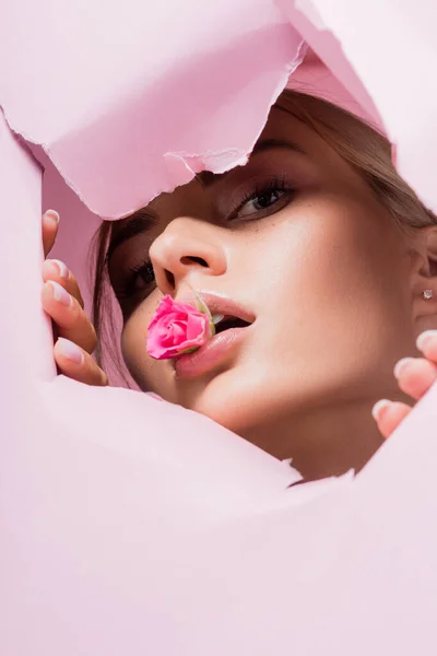 Bella donna con rosa in bocca in buco di carta rosa — Foto stock