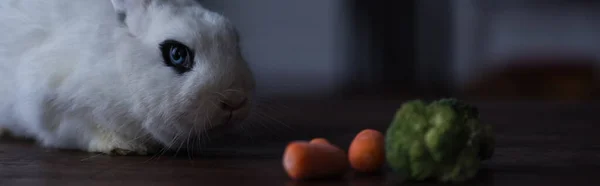 Cute rabbit with black eye near carrot and broccoli, banner — Stock Photo