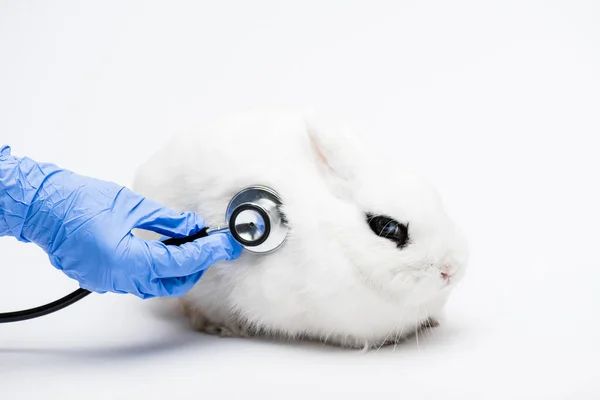 Vue recadrée du vétérinaire examinant le lapin avec stéthoscope sur fond blanc — Photo de stock