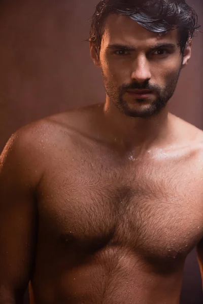 Hombre mojado con torso muscular mirando a la cámara sobre fondo oscuro - foto de stock