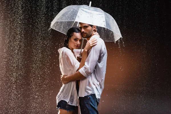 Young couple in wet shirts standing under rain with transparent umbrella on dark background — Stock Photo