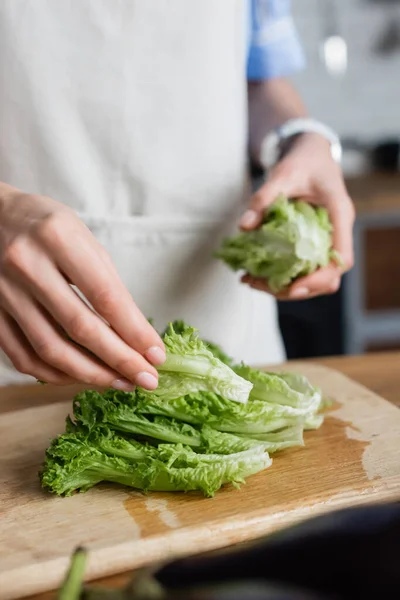 Vue rapprochée des mains féminines tenant de la laitue dans la cuisine — Photo de stock