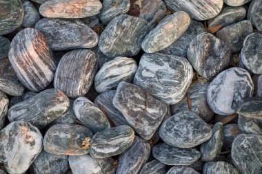 Yüzlerce küçük siyah çakıl taşı