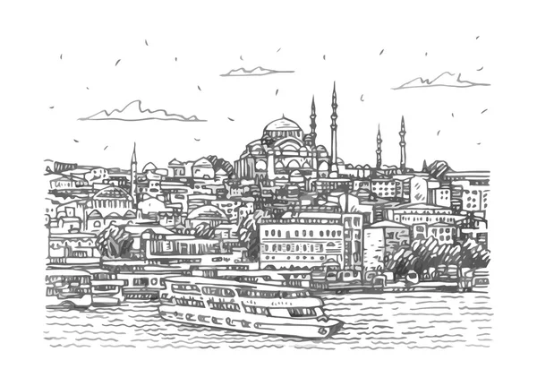 Vista sul centro storico di Istanbul, tacchino . — Vettoriale Stock