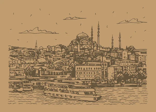 Vista sul centro storico di Istanbul, tacchino . — Vettoriale Stock