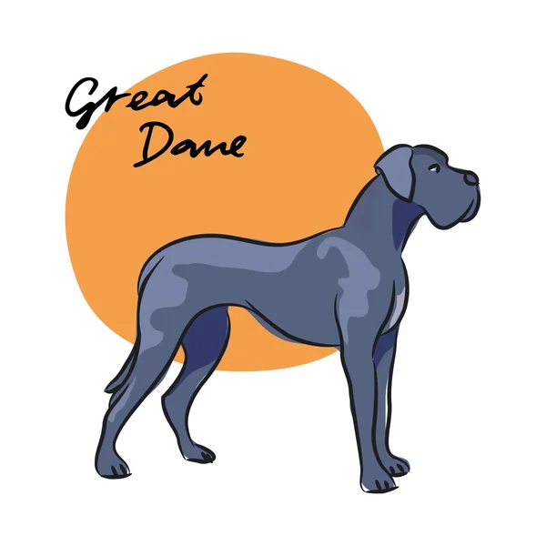 Great Dane — Stockvector