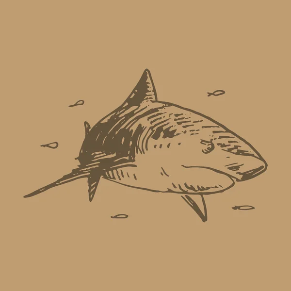 Rekin. Ilustracja wektorowa — Wektor stockowy