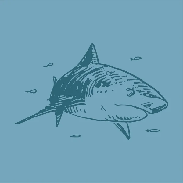 Un requin. Illustration vectorielle — Image vectorielle