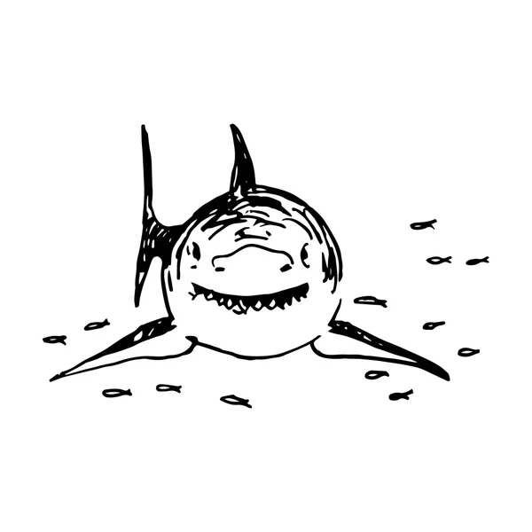 Tiburón. Ilustración vectorial — Archivo Imágenes Vectoriales