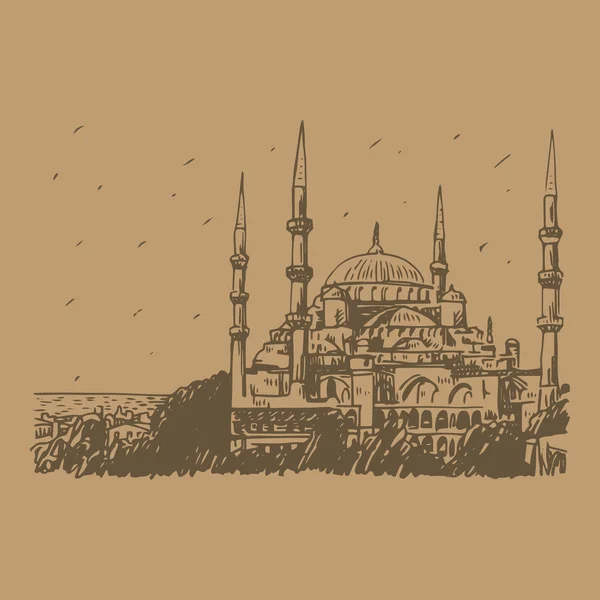 Mezquita Azul, Estambul, Turquía. — Vector de stock