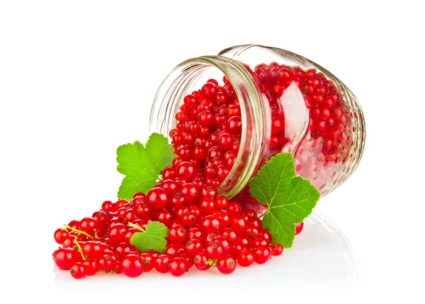 Fresh red currant with green leaf in glass jar — Stock Photo, Image