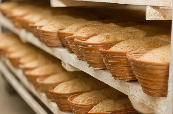 Proving dough of bran in basket. Private Bakery — Stock Photo, Image