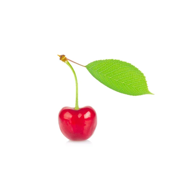 Érett szaftos cseresznye, zöld levél. — Stock Fotó