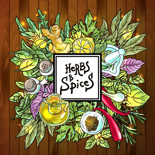 Herbs and spices — Stock Vector