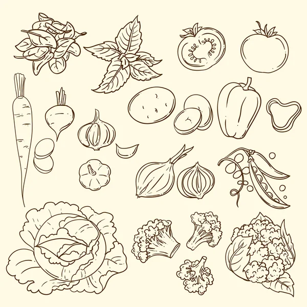 Illustration vectorielle légumes — Image vectorielle