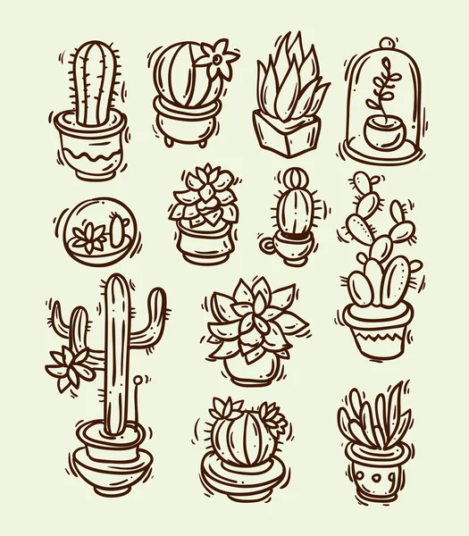 Cactus et succulents — Image vectorielle