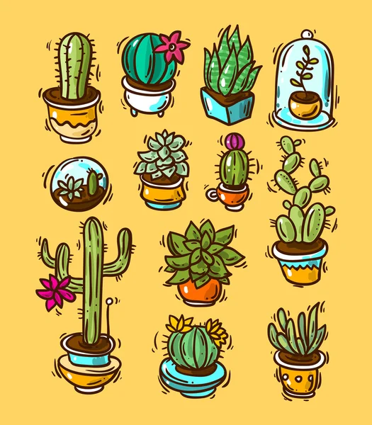 Cactus et succulents — Image vectorielle