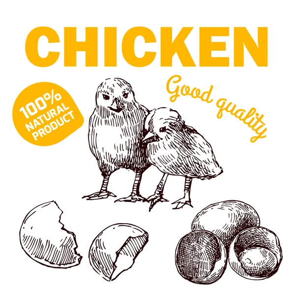 Οικολογικό αγρόκτημα κοτόπουλου — Διανυσματικό Αρχείο