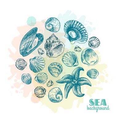 Kabuk elle çizilmiş