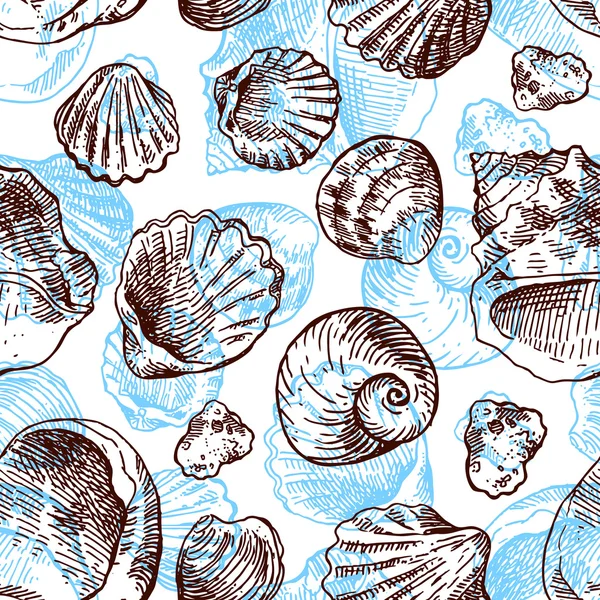 Shell hand drawn