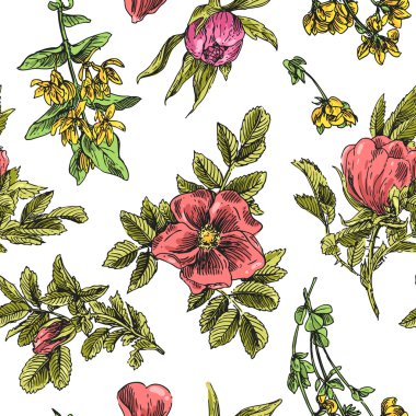 hand drawn flowers clipart