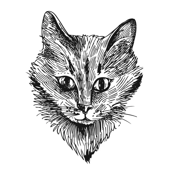 Cabeza de gato — Vector de stock