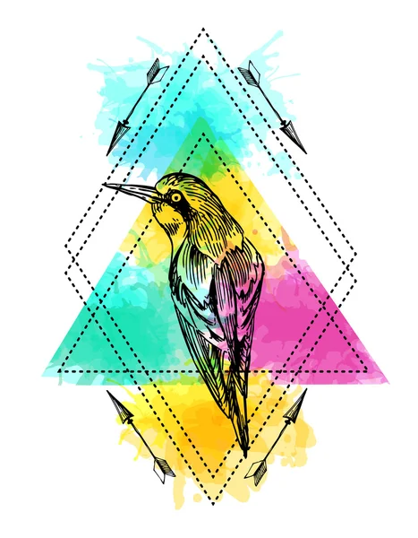 Vogel und Aquarell — Stockvektor