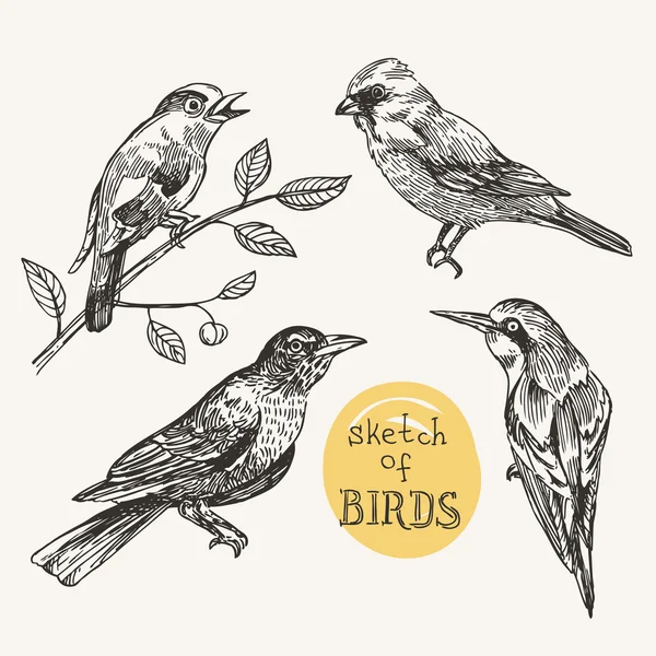Uccello e fiore — Vettoriale Stock