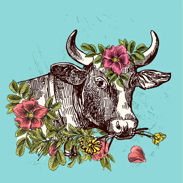 Tête d'illustration de vache d'illustration — Image vectorielle