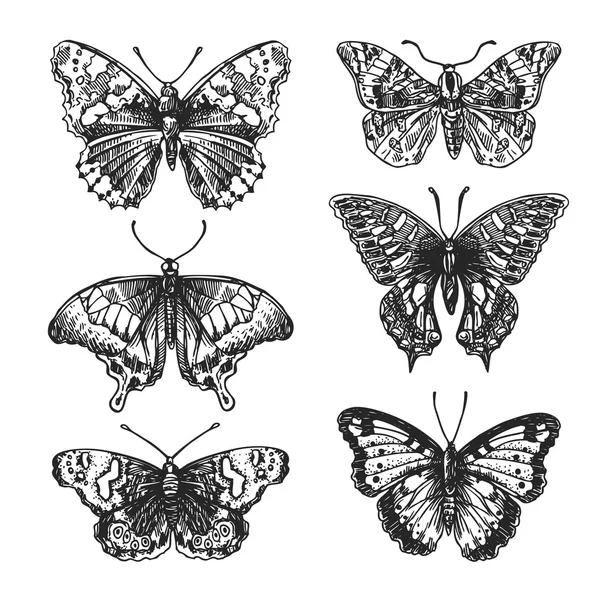 Papillons dessinés à la main — Image vectorielle