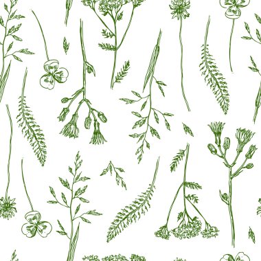 kır çiçeği taslağını