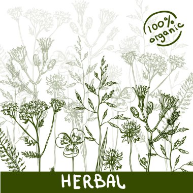 Kır çiçeği güzel el çizilmiş kroki