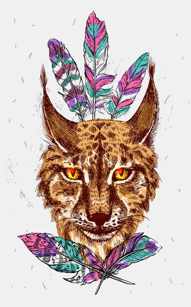 Σκίτσο του lynx — Διανυσματικό Αρχείο