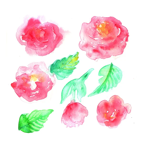 Watercolor sketch of flowers — Stock Photo, Image