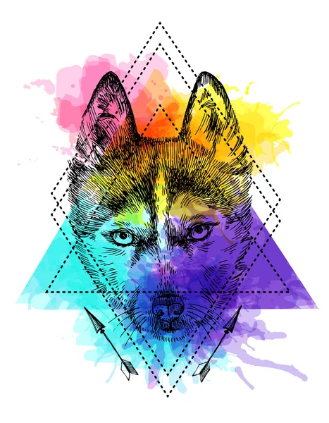 Boceto de husky — Vector de stock