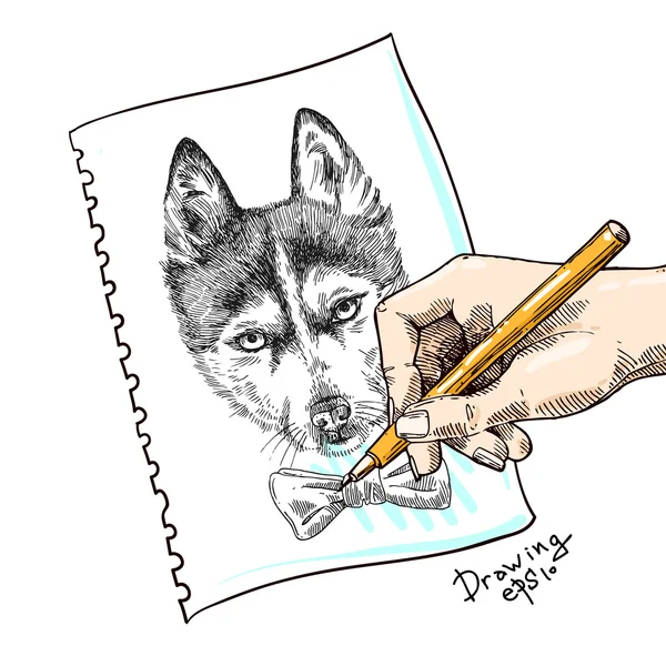 Boceto de husky — Archivo Imágenes Vectoriales