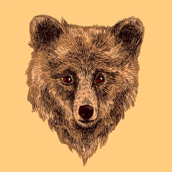 Σκίτσο της αρκούδας — Διανυσματικό Αρχείο
