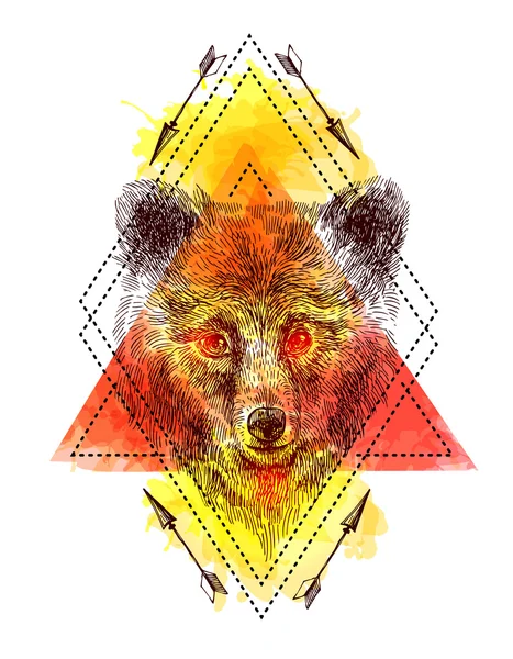 Croquis de l'ours — Image vectorielle