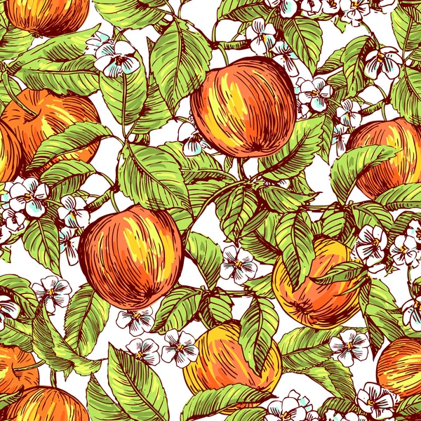 Bosquejo de manzanas — Vector de stock
