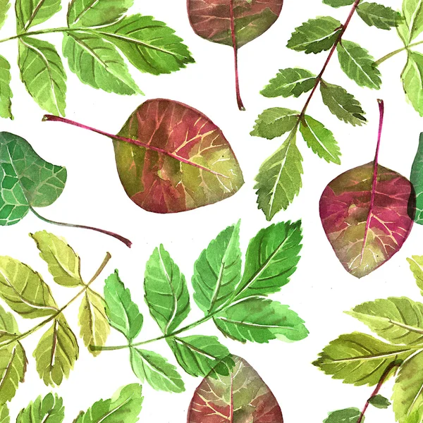 Illustration decorative  leaves — Stock Photo, Image