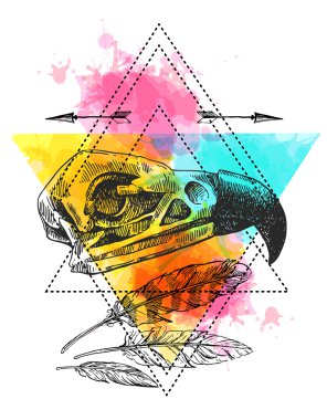 hayvan illüstrasyon kafatası