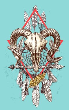 hayvan illüstrasyon kafatası