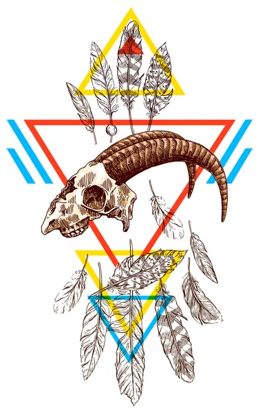 Illustration crâne animal — Image vectorielle